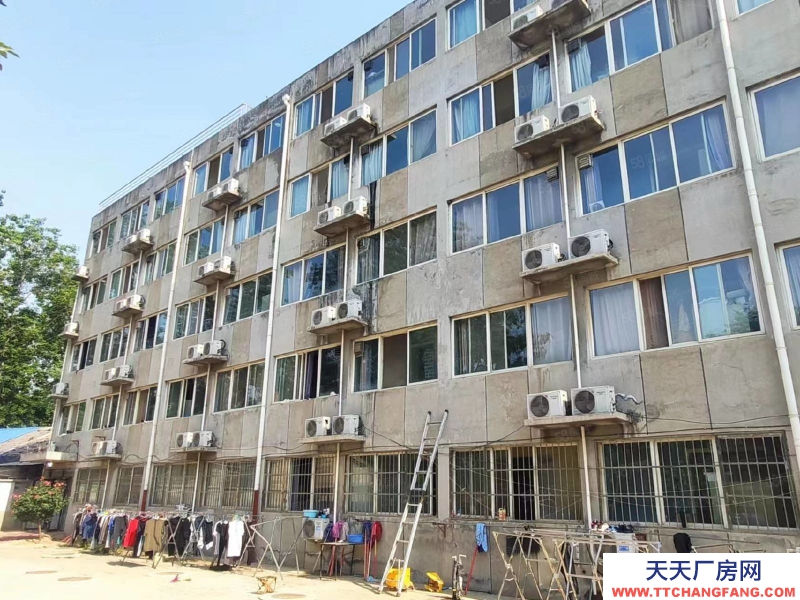 石家莊新華區(qū)學(xué)府路經(jīng)貿(mào)大學(xué)附近獨棟獨院辦公樓公寓出租