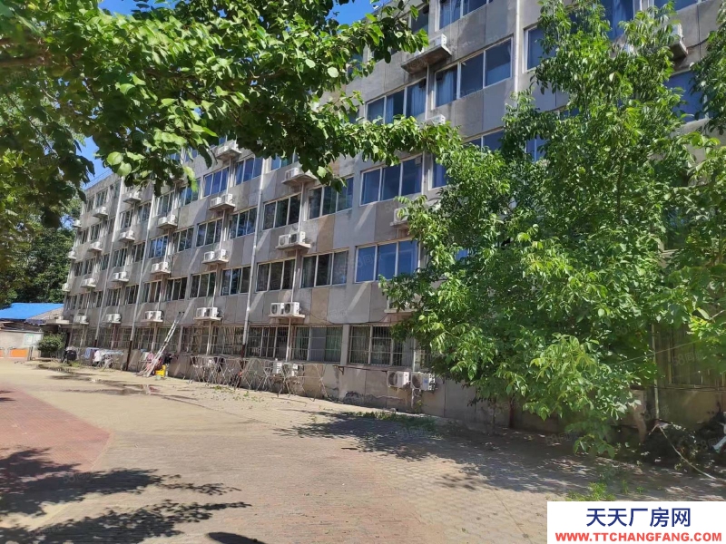 石家莊新華區(qū)學(xué)府路經(jīng)貿(mào)大學(xué)附近獨棟獨院辦公樓公寓出租