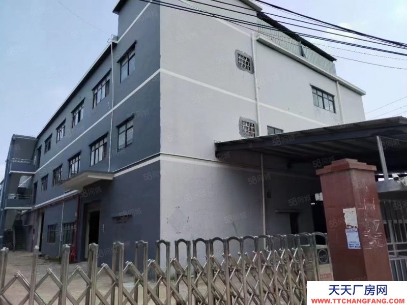 (出租) 廣州荔灣沙湖原房東，獨(dú)門獨(dú)院廠房5300方，200平起租，水電齊全。