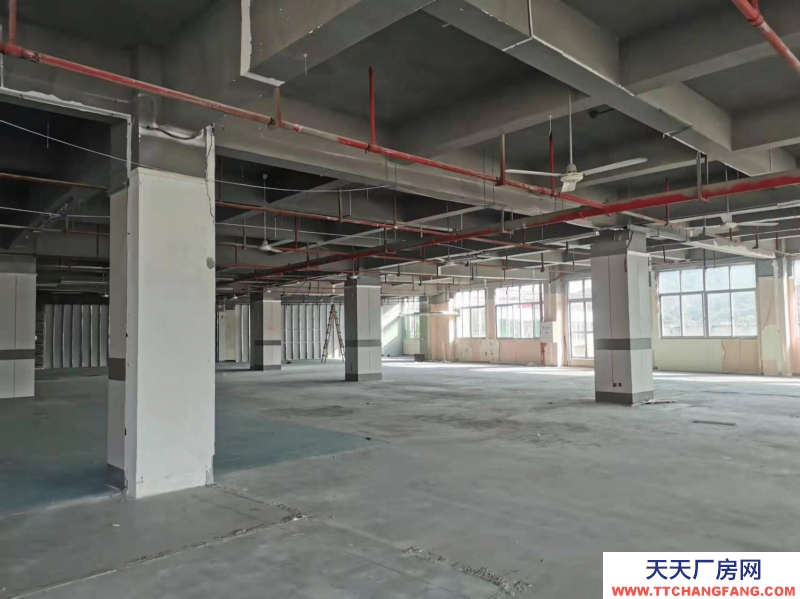 (出租) 福州倉山區房東直租 送超大露臺 有客梯貨梯 適合辦公+倉儲或展廳