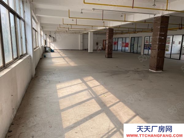 武漢江漢區(qū)(出租) 江興路3500平獨(dú)門獨(dú)院廠房出租