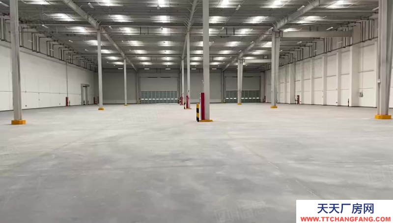 (出租) 重慶庫房出租，蔡家物流園5000平米高臺庫對外招租