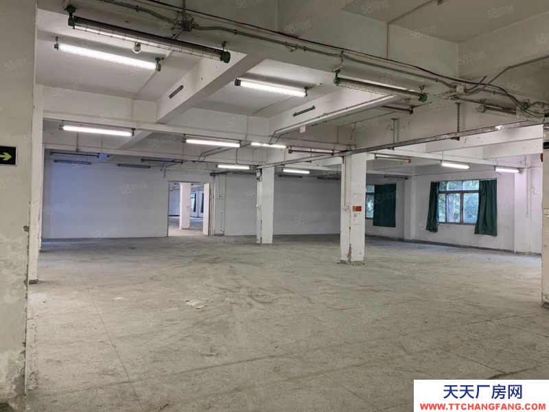 (出租) 荔灣區(qū)芳村龍溪大道廠房倉(cāng)庫(kù)出租