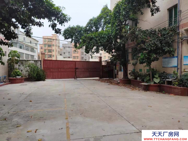 (出租) 荔灣區(qū)芳村龍溪大道廠房倉(cāng)庫(kù)出租