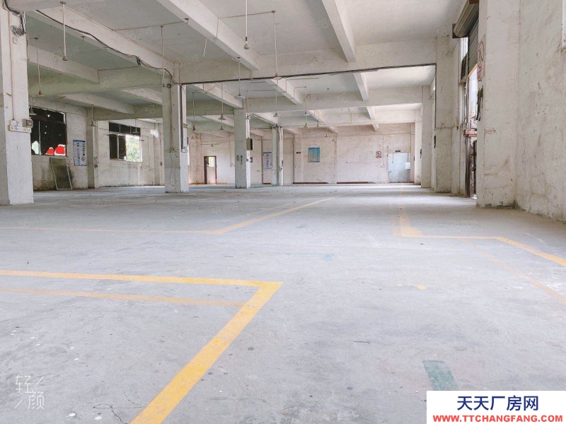 (出租) 荔灣區(qū)芳村橋倉(cāng)庫(kù)出租。