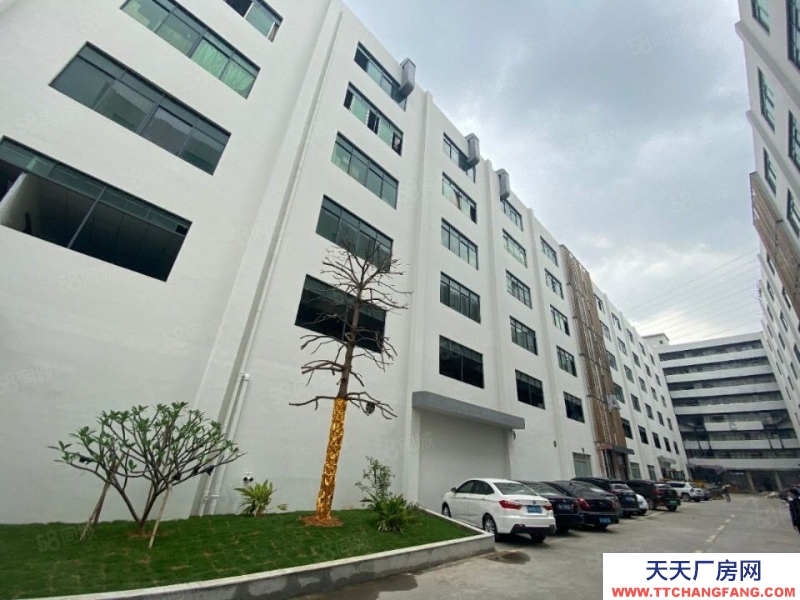 (出租) 荔灣區(qū)芳村石圍塘廠房倉(cāng)庫(kù)出租