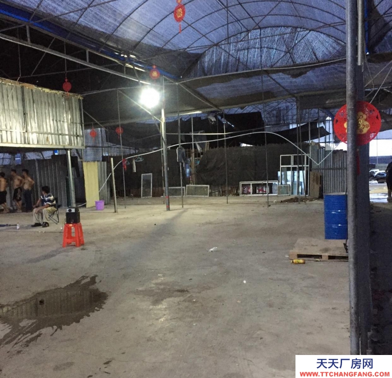 (出租) 荔灣芳村龍溪大道倉(cāng)庫(kù)1000方出租