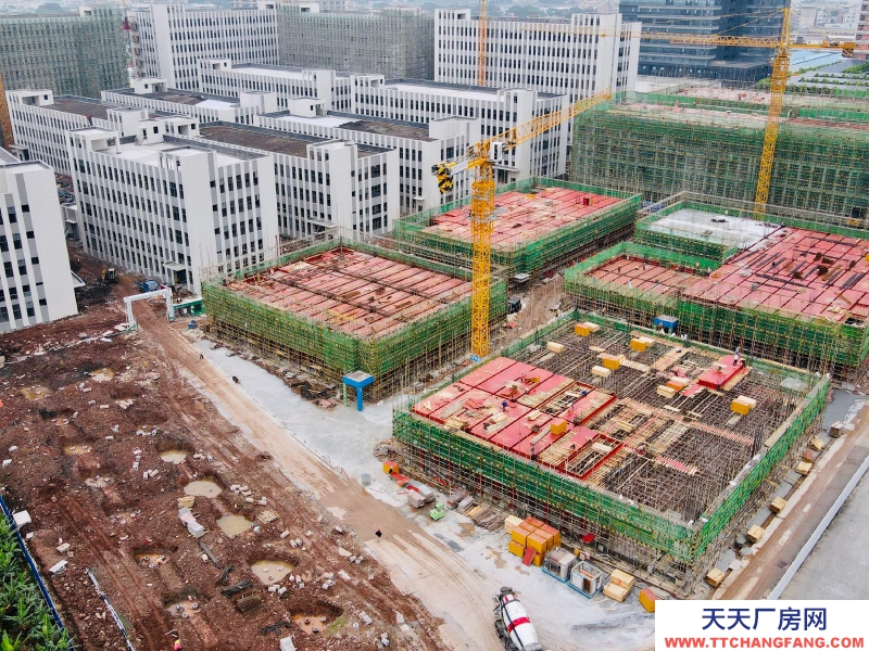 (出售)荔灣 臨廣州南站，現樓4600方獨棟??！國有廠權！贈送獨棟冠名權