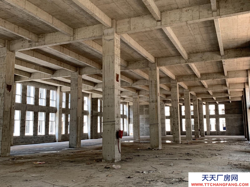 (出售)荔灣 臨廣州南站，現樓4600方獨棟！！國有廠權！贈送獨棟冠名權