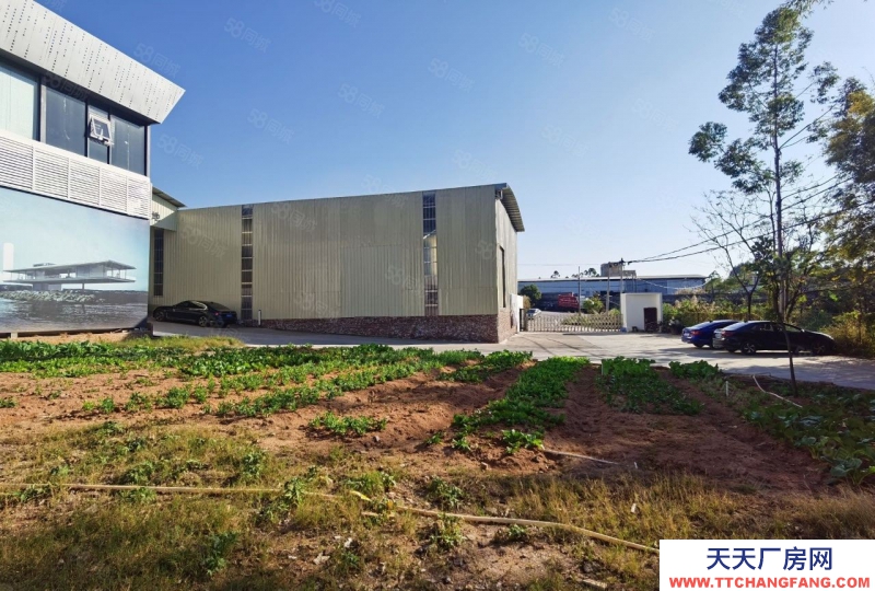 (出租) 越秀獨門獨院單一層鐵皮房可做噴漆13010平方出租價格便宜