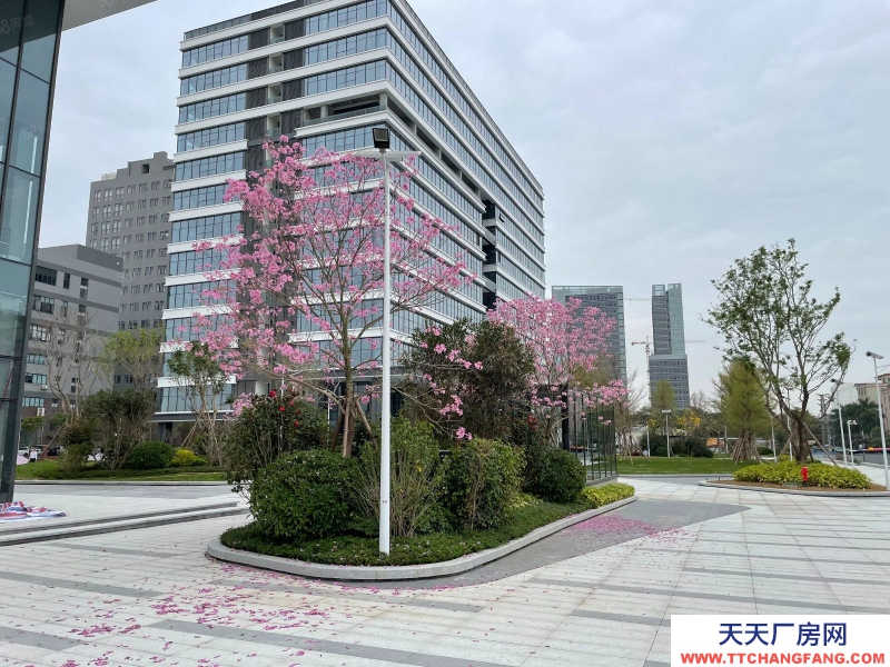 (出租) 越秀 地鐵科技園區(qū) 可生產(chǎn) 可辦公 費(fèi)用低