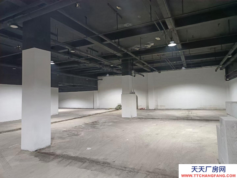 濟南歷下公司直租無中介,龍鼎大道旁