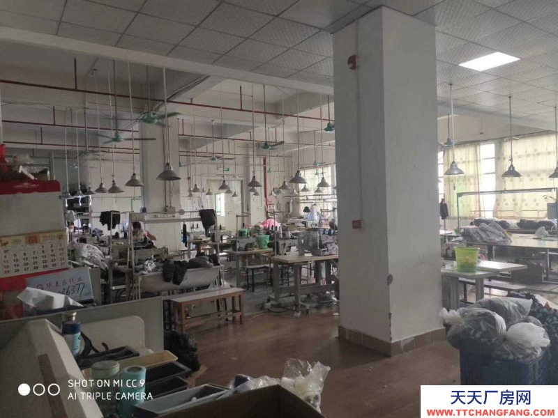 (出租)越秀五羊新城280平方招租現成裝修價格便宜