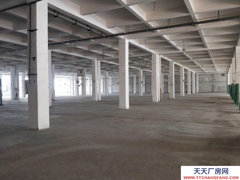 重慶北碚蔡家工業園2000平米廠房出租,可分租