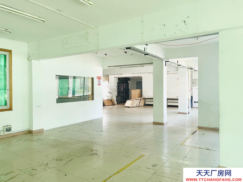 (出租) 越秀免租2個月環(huán)市東超筍大平層 獨立院子24小時 任何行業(yè)均可