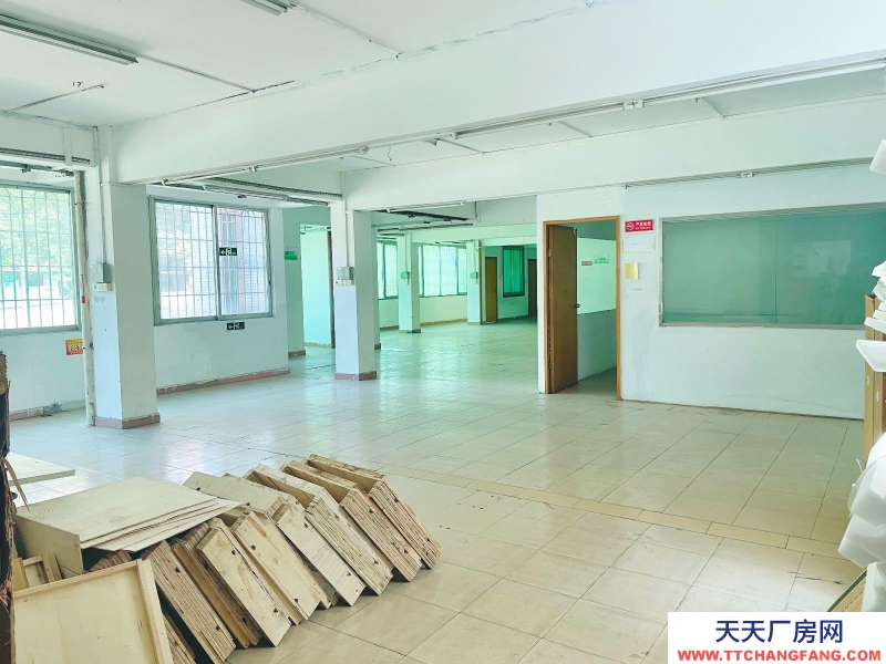 (出租) 越秀免租2個月環(huán)市東超筍大平層 獨立院子24小時 任何行業(yè)均可