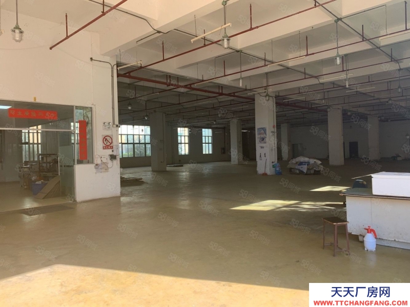 (出租) 番禺獨院廠房7500平方出租 證件齊全 可辦環(huán)評 市政管網