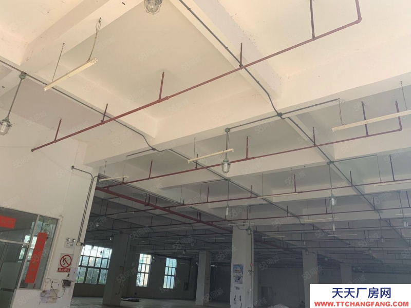 (出租) 番禺獨院廠房7500平方出租 證件齊全 可辦環評 市政管網