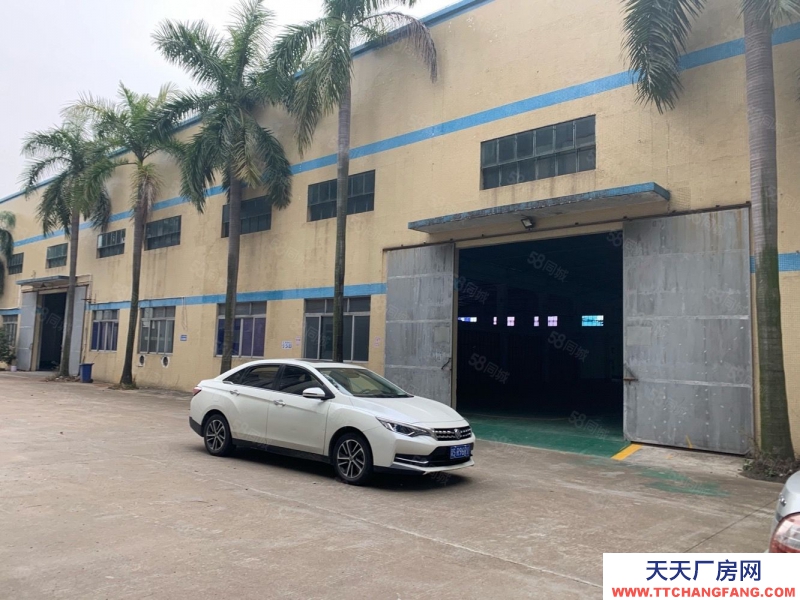 (出租) 番禺沙灣福涌12米高鋼構1180平方出租 可辦環評 證件齊全