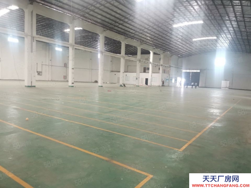 (出租)番禺廣州南站附近倉庫出租4560方，獨(dú)門獨(dú)院，磚墻到頂，空地大