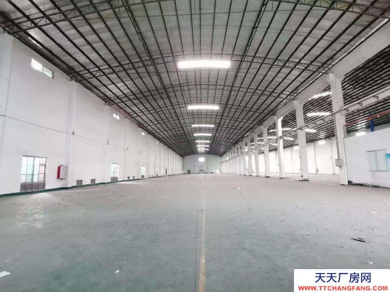 (出租)番禺廣州南站附近倉庫出租4560方,獨門獨院,磚墻到頂,空地大