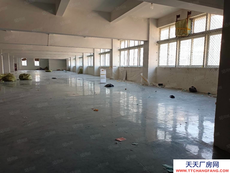 杭州濱江中小型精裝淘寶倉儲(chǔ)，光線通透，位置好200方起租，層高5米