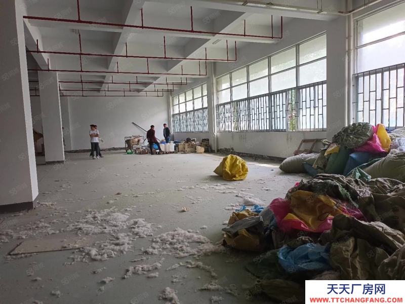 杭州濱江中小型精裝淘寶倉儲(chǔ)，光線通透，位置好200方起租，層高5米