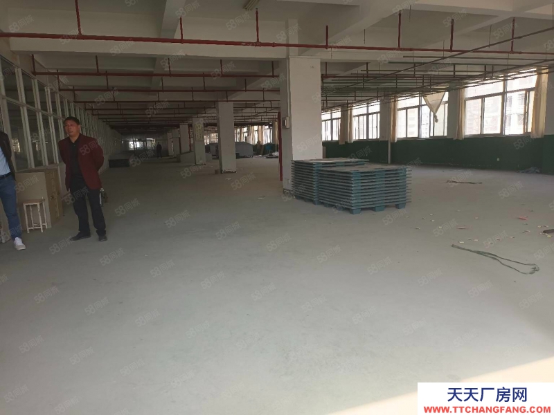 杭州濱江中小型精裝淘寶倉儲(chǔ)，光線通透，位置好200方起租，層高5米