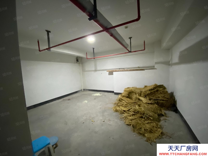 杭州濱江(出租) 倉庫租賃 旺鋪直招 業(yè)態(tài)包容度大 交通方便 穩(wěn)定