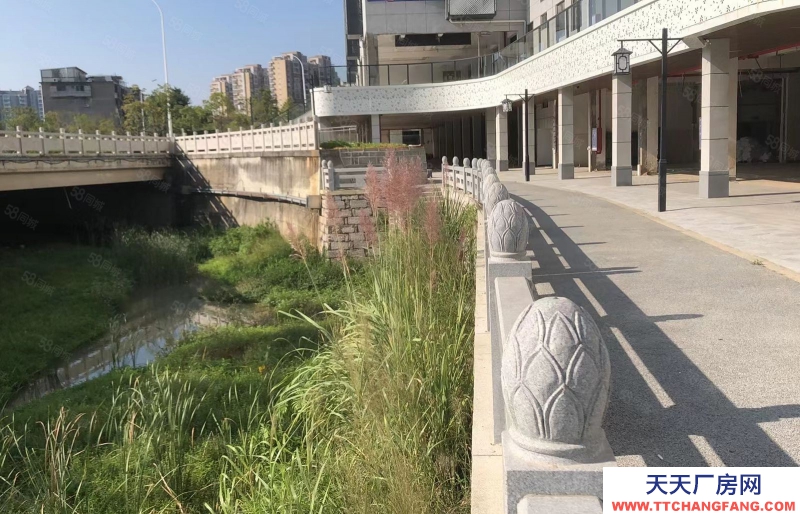 (出租)福州 晉安區舊廠房改造 辦公室出租 轉讓 五四北 西園 可注冊