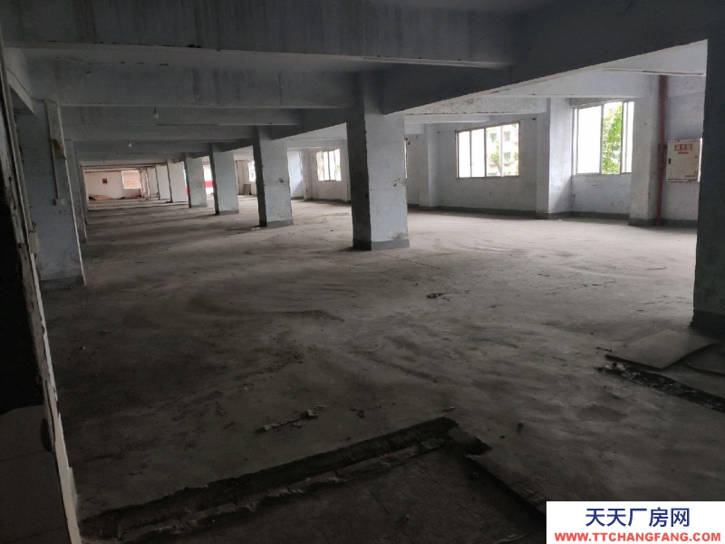 重慶萬州沙龍路區法院旁庫房1100平招租