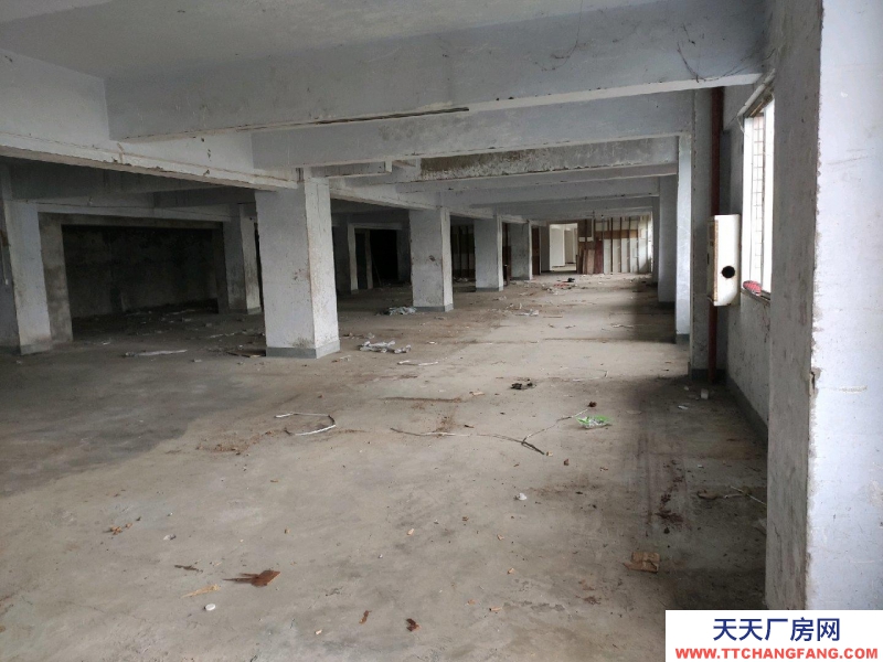 重慶萬州沙龍路區(qū)法院旁庫房1100平招租