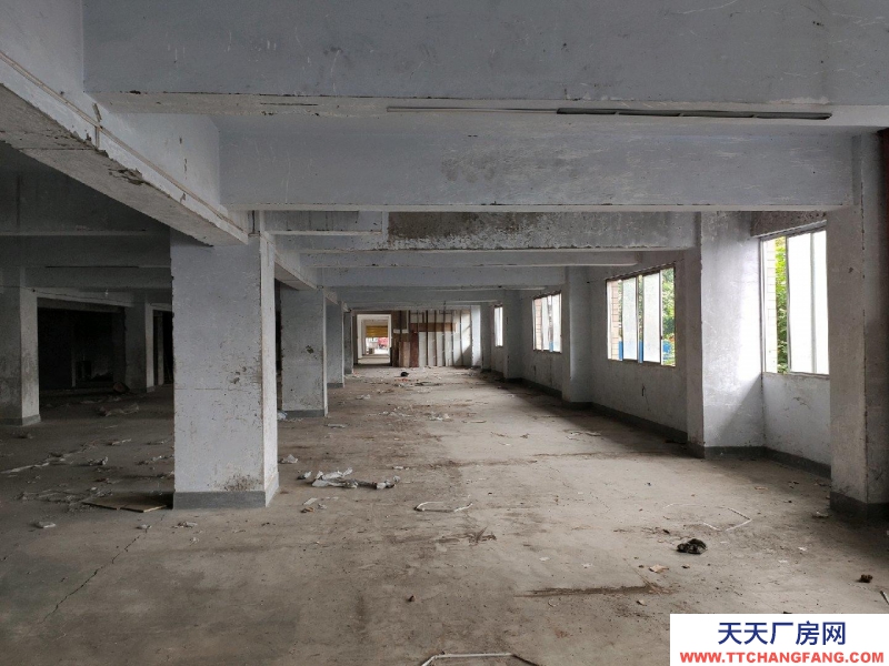 重慶萬州沙龍路區(qū)法院旁庫房1100平招租