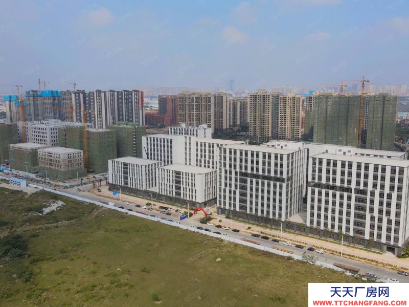 (出售) 番禺南村周邊 800方起廠房出售 帶車位飯堂宿舍