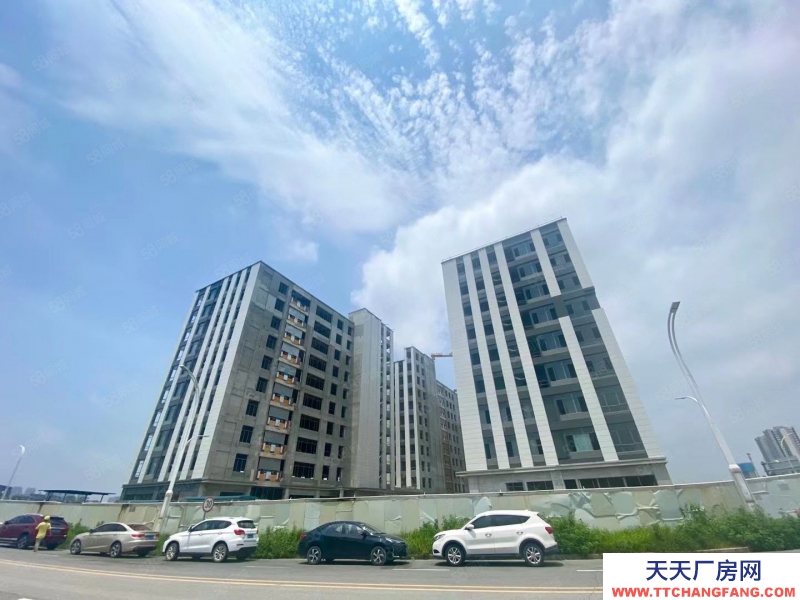 (出售) 番禺南村周邊 800方起廠房出售 帶車位飯堂宿舍