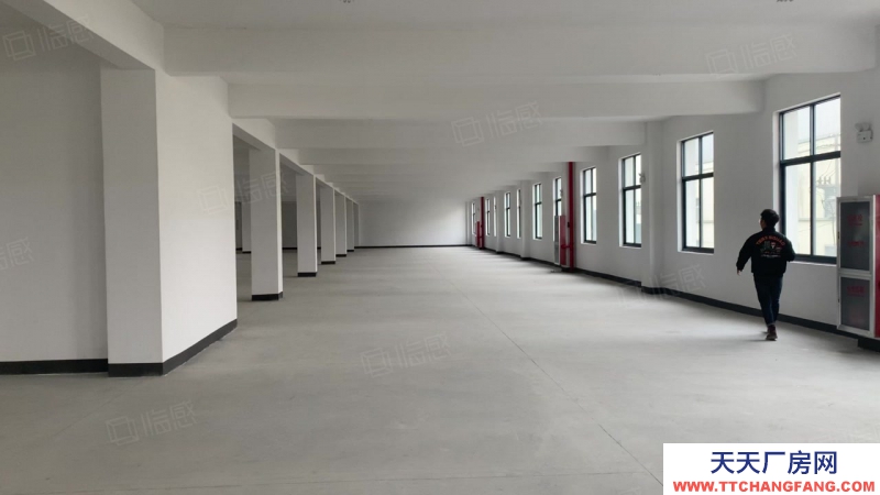 杭州濱江(出租) 大美湘湖倉庫出租大小面積都可選，歡迎各大電商老板參觀入駐