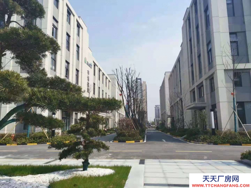 濟(jì)南市中優(yōu)企選址,產(chǎn)業(yè)大廈600平米起