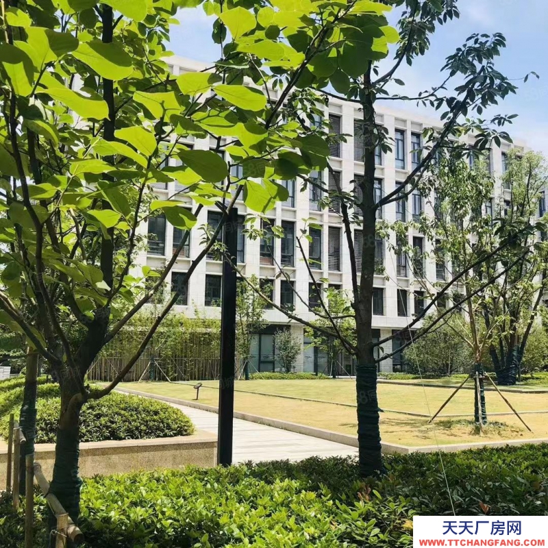 (出售) 福州晉安區地鐵口，國土紅本，50年產權，交配套齊全