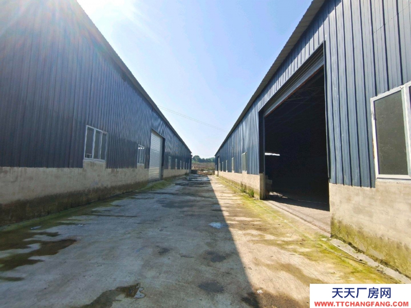 重慶璧山2500平獨立使用，可隨時看