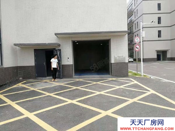 武漢硚口(出租) 超值帶裝修廠房倉(cāng)庫(kù)出租兩部貨梯大貨梯超長(zhǎng)7米