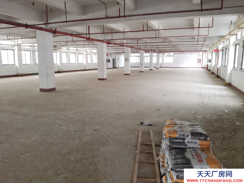 (出租) 福州晉安區房東直租無中介費,隨時預約看房標準倉庫