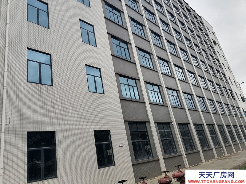 南寧市西鄉塘區出租全新標準廠房倉庫，500平起，可租可售，有一樓！有補貼