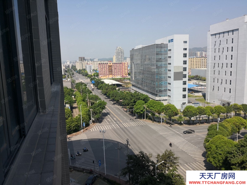 南寧市西鄉塘區出租全新標準廠房倉庫，500平起，可租可售，有一樓！有補貼