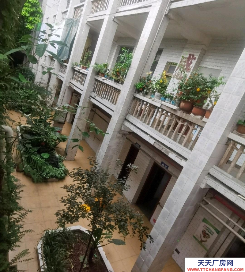 重慶永川倉庫面積100-1000可租。