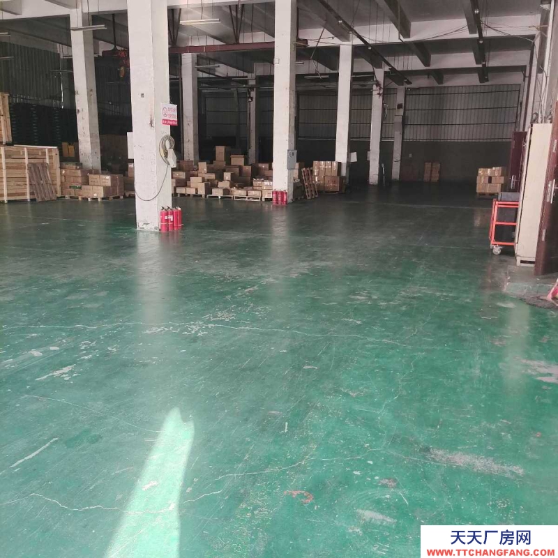 鐵西50至2000平標(biāo)準(zhǔn)倉(cāng)庫(kù)出租(按需分割)中央大街五號(hào)