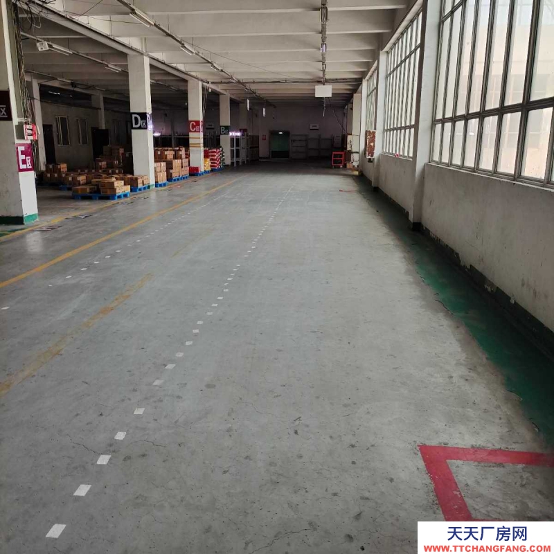 鐵西50至2000平標準倉庫出租(按需分割)中央大街五號