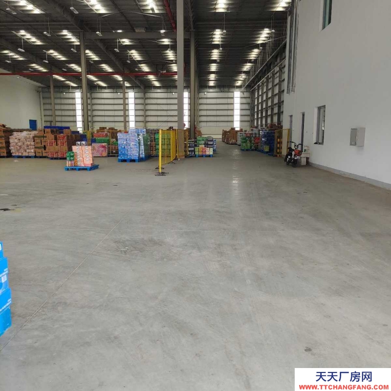 鐵西50至2000平標準倉庫出租(按需分割)中央大街五號