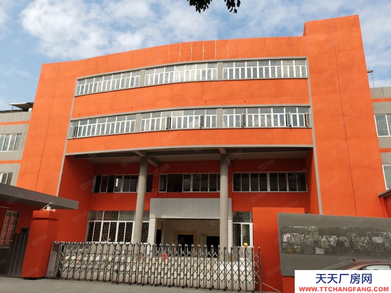 (出租) 海珠形象好獨(dú)院原房東10000方4層廠房倉庫可分租電大