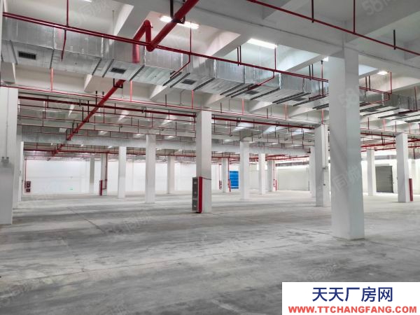 南京市江寧區(qū)(出租) 眾彩物流3000平。丙類消防，可以分租