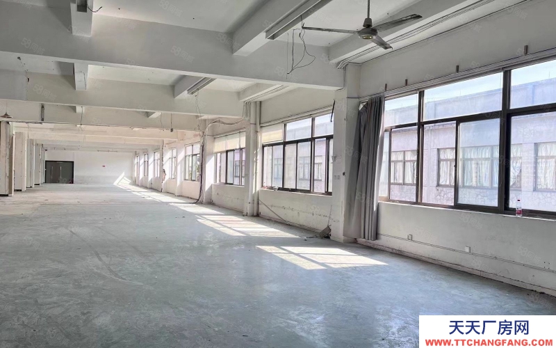 杭州濱江整層1300方 戶型 采光好 大貨梯 適合電商 直播